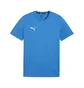 Футболка чоловіча Puma Teamgoal Casuals T-Shirt Blue 658615-02