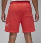 Шорты мужские Air Jordan Brooklyn Fleece Red FN4535-604