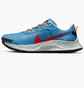 Кросівки чоловічі Nike Pegasus Trail 3 Light Blue Da8697-400