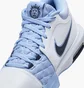 Кроссовки мужские Nike Lebron Witness Viii White HQ2139-100