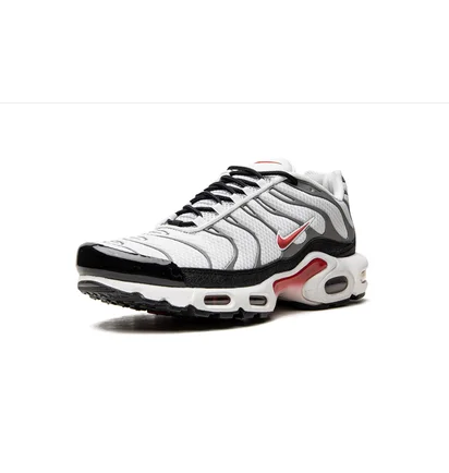 Кросівки чоловічі Nike Air Max Plus White/Grey DM0032-002