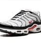 Кросівки чоловічі Nike Air Max Plus White/Grey DM0032-002