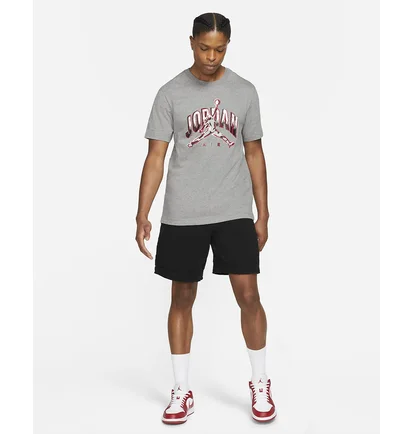 Футболка чоловіча Air Jordan Air T-Shirt Grey CZ8383-091
