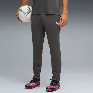 Штани чоловічі Puma Individualliga Grey 659517-10