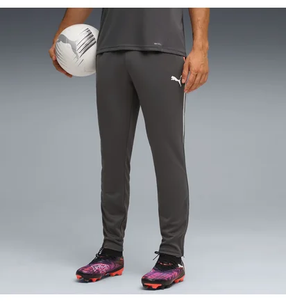Штаны мужские Puma Individualliga Grey 659517-10