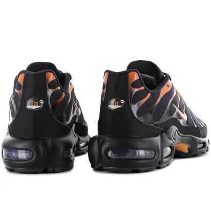 Кросівки чоловічі Nike Air Max Plus Black FN6949-400