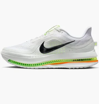 Кросівки чоловічі Nike Pegasus Premium White HQ2592-105