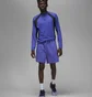 Шорты мужские Air Jordan Dri-Fit Sport Violet Dv9789-430
