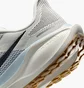 Кросівки чоловічі Nike Air Zoom Pegasus Beige FD2722-113