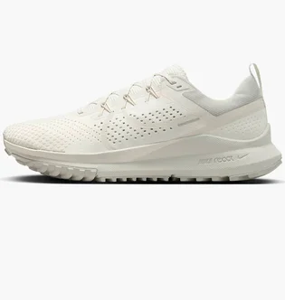 Кроссовки мужские Nike Pegasus Trail 4 Beige DJ6158-008
