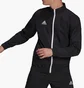 Олимпийка мужская Adidas Jacket Ent22 Pre Jkt Black H57534