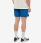 Шорты мужские Nike Retro Woven Shorts Blue DM6829-407