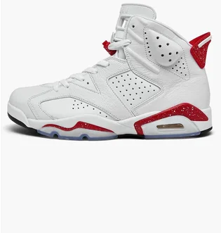 Кроссовки мужские Air Jordan 6 Retro White Ct8529-162