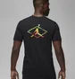 Футболка мужская Air Jordan Flight Mvp Barbed Wire Graphic T-Shirt Black Dv1443-010