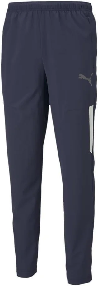 Штаны мужские Puma Teamliga Sideline Pants Blue 657261-06