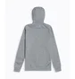 Худи мужское Air Jordan M J Jumplogo Flc Po Grey AV3145-091