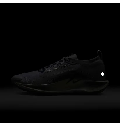 Кроссовки мужские Nike Pegasus Trail 5 Gtx Grey FQ0908-006