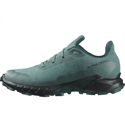 Кросівки жіночі Salomon Alphacross 5 Gtx Blue L47595000