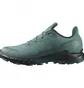 Кросівки жіночі Salomon Alphacross 5 Gtx Blue L47595000