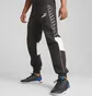 Штаны мужские Puma Bmw M Rsport Sds Black 621867-01