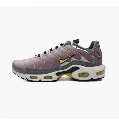 Кроссовки женские Nike Air Max Plus Violet Dust Womens Lifestyle Shoe Violet/White FN8007-500
