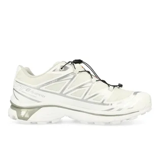 Кроссовки мужские Salomon Xt-6 Gtx White 475811