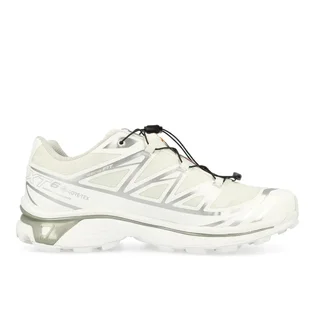 Кроссовки мужские Salomon Xt-6 Gtx White 475811