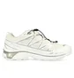 Кроссовки мужские Salomon Xt-6 Gtx White 475811