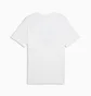 Футболка чоловіча Puma Graphic Sneaker White 691777-02
