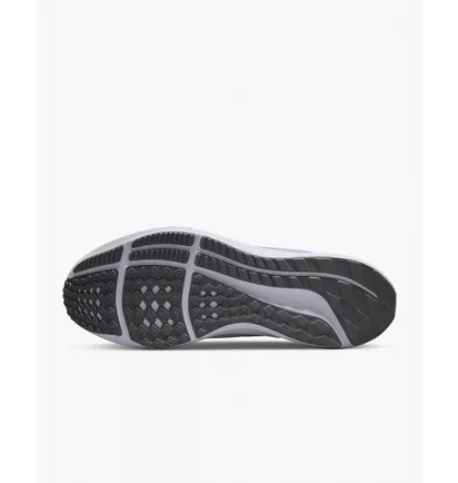 Кросівки чоловічі Nike Pegasus 39 Running Shoes White Dh4071-100