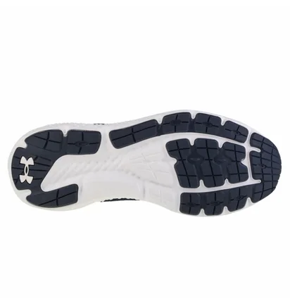 Кросівки чоловічі Under Armour Charged Rogue 3 Blue 3024877-401