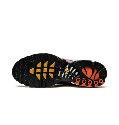 Кросівки чоловічі Nike Air Max Plus Orange DM0032-800