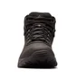 Черевики чоловічі Columbia Newton Ridge Plus Ii Waterproof Brown BM3970-014