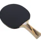 Ракетка для настольного тенниса Donic Legends 300 Fsc Black/Red 705234