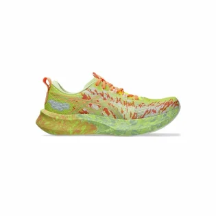 Кросівки чоловічі Asics Noosa Tri 16 Multi 1011B872-750
