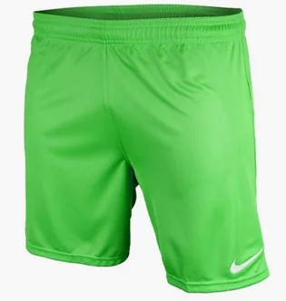 Шорты детские Nike Park Green 448263-350