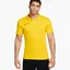 Поло мужское Nike Academy Poloshirt Yellow DR1346-719