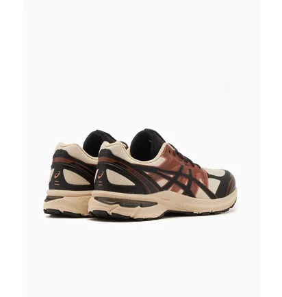 Кроссовки мужские Asics Gel-Terrain Brown 1203A342-250