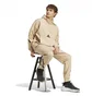 Штаны мужские Adidas Z.N.E. Beige JE7539