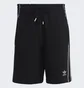Шорты мужские Adidas Rekive Shorts Black Hk7307