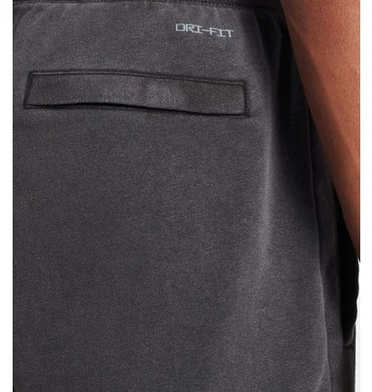 Штаны мужские Air Jordan M J Df Air Flc Pant Grey DA9858-010