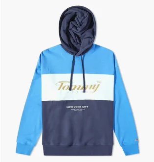 Худи мужское Tommy Jeans Archive Hoody Blue/Light Blue DM0DM14200-C87