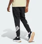 Штаны мужские Adidas Future Icons 3-Stripes Black JD4863