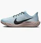Кросівки чоловічі Nike Pegasus Plus Blue FQ7262-406