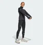 Кофта жіноча Adidas Adi365 Running Climawarm+ Half-Zip Black JP3842