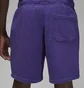 Шорти чоловічі Air Jordan Wordmark Fleece Short Violet DV6467-514