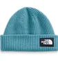 Шапка унисекс The North Face Salty Dog Blue NF0A3FJW2W9