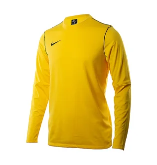 Лонгслів чоловічий Nike M Dry Park20 Crew Top Yellow BV6875-719