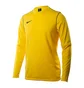 Лонгслів чоловічий Nike M Dry Park20 Crew Top Yellow BV6875-719