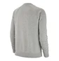 Світшот жіночий Nike Nsw Essential Crew Grey BV4112-063